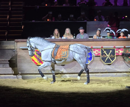 Medieval Times Dinner & Tournament-斯科茨代尔必去景点