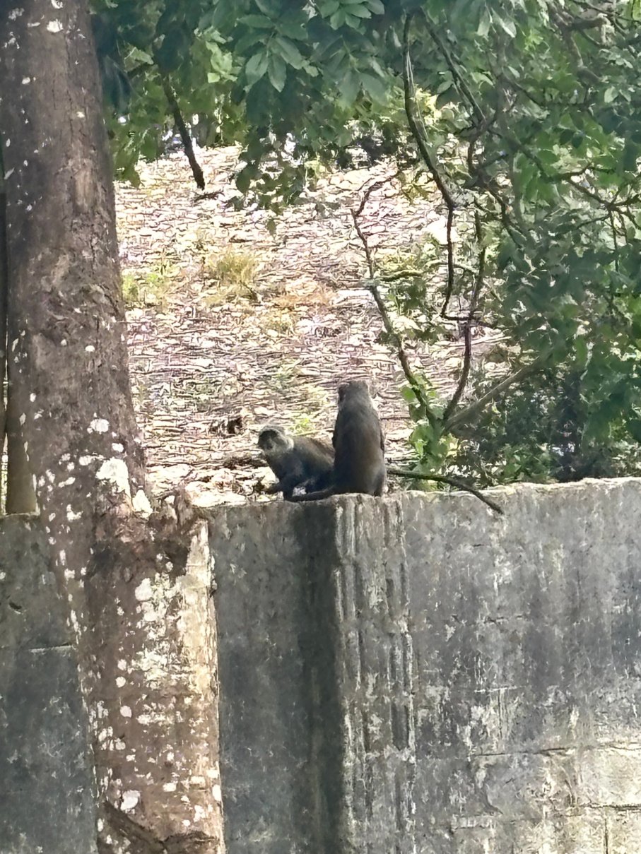 三思菲劳海滩度假村-官方