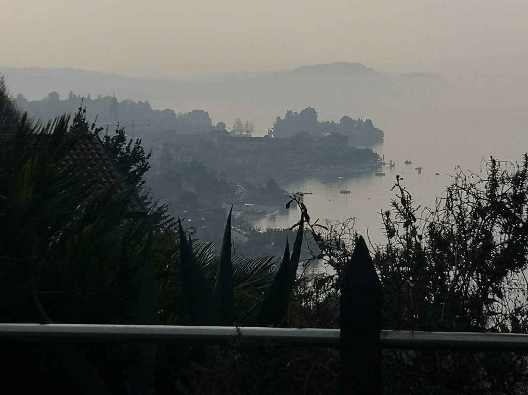 雷纳鲁民宿主图