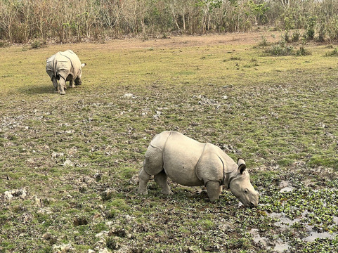 Travel With-阿格拉必去景点
