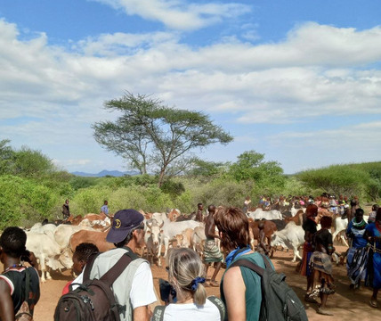 King Dawit Tours & Travel Ethiopia-德布雷塞特必去景点