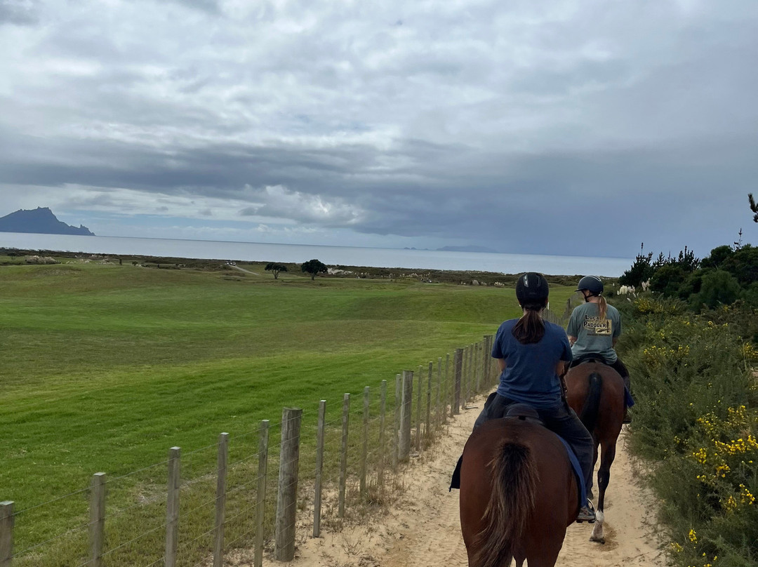 Waipu Horse Adventures-璜加雷必去景点