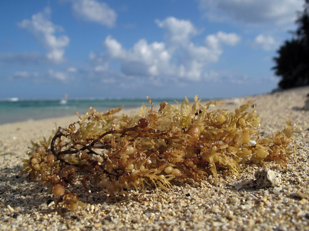 Mexique Découverte-坎昆必去景点
