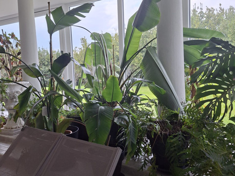 阿尔伯格勒卡斯酒店主图