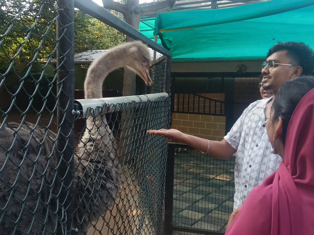 Fundera Park-Yelagiri必去景点