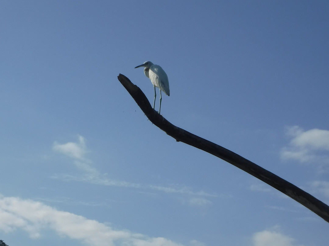 Pineapple Tours-主日镇必去景点