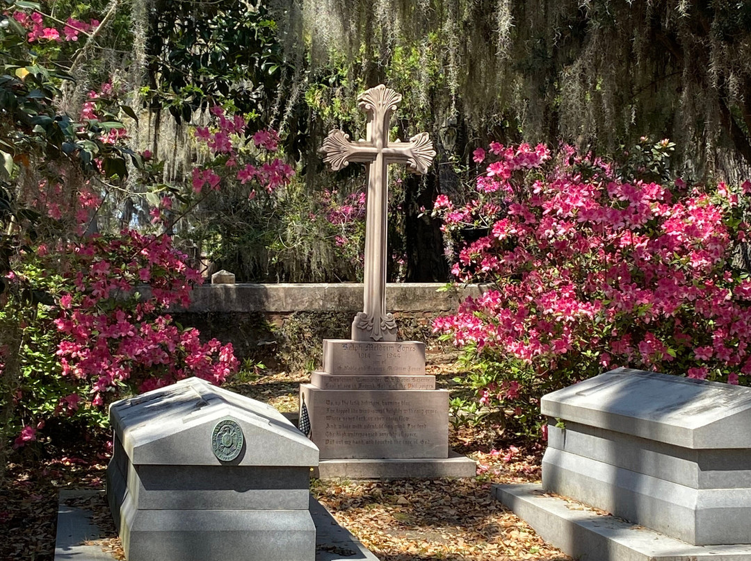 Savannah Heritage Tours-萨凡纳必去景点