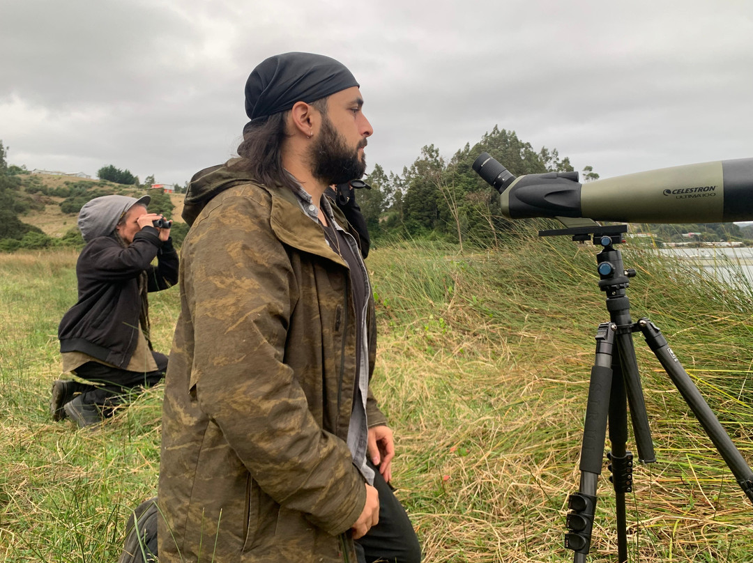 Eco-rutero-Puerto Saavedra必去景点