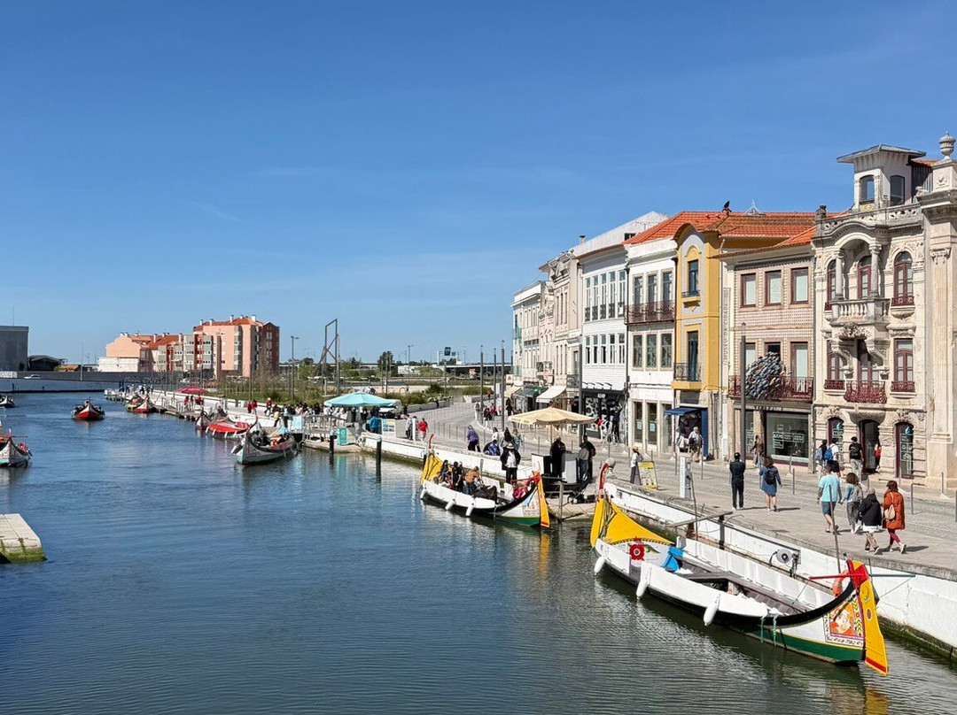 Canal Central de Aveiro-阿威罗必去景点