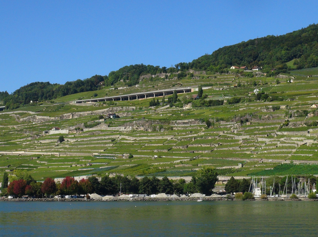 Lake Geneva Marine (Genfersee Schifffahrt)-蒙特勒必去景点