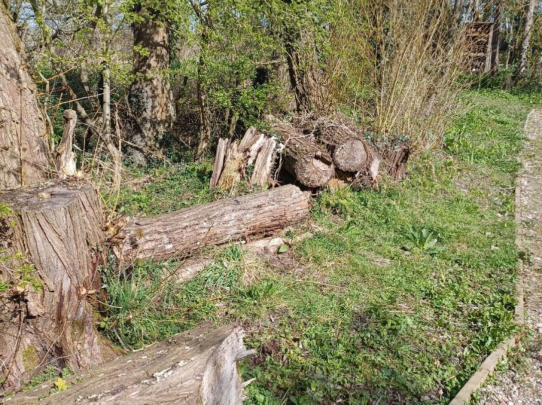 Softwell  Nature Reserve-马基特哈伯勒必去景点