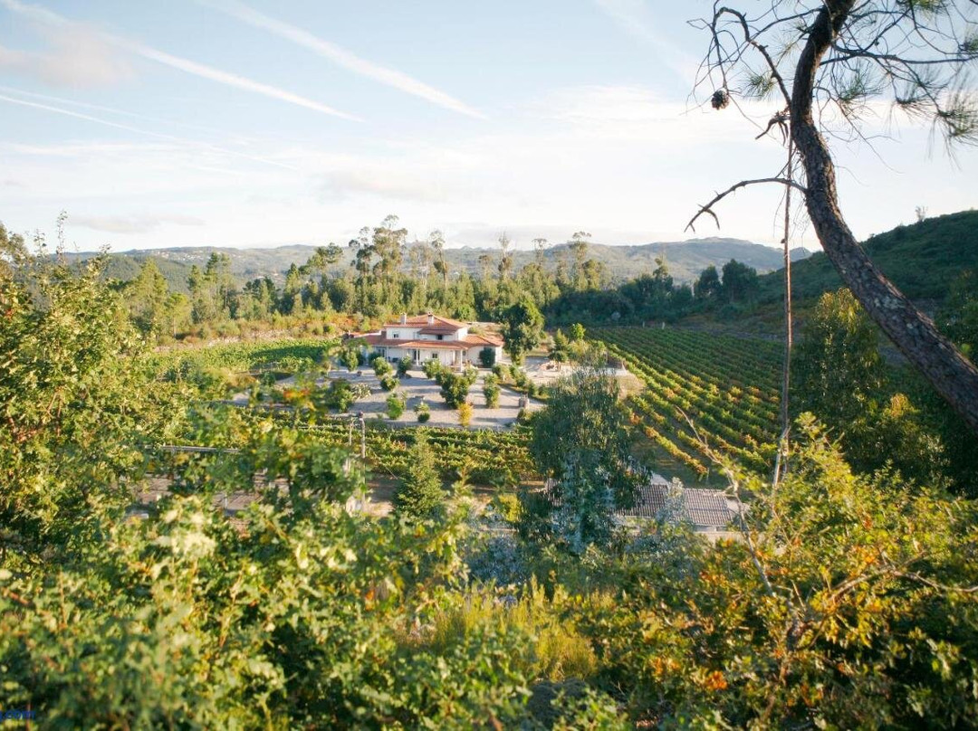 Quinta da Paixao - Bed & Breakfast