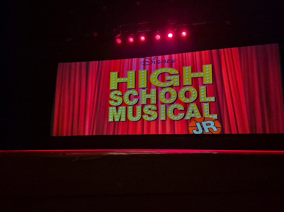 Siamsa Tire Theatre & Arts Centre-特拉利必去景点