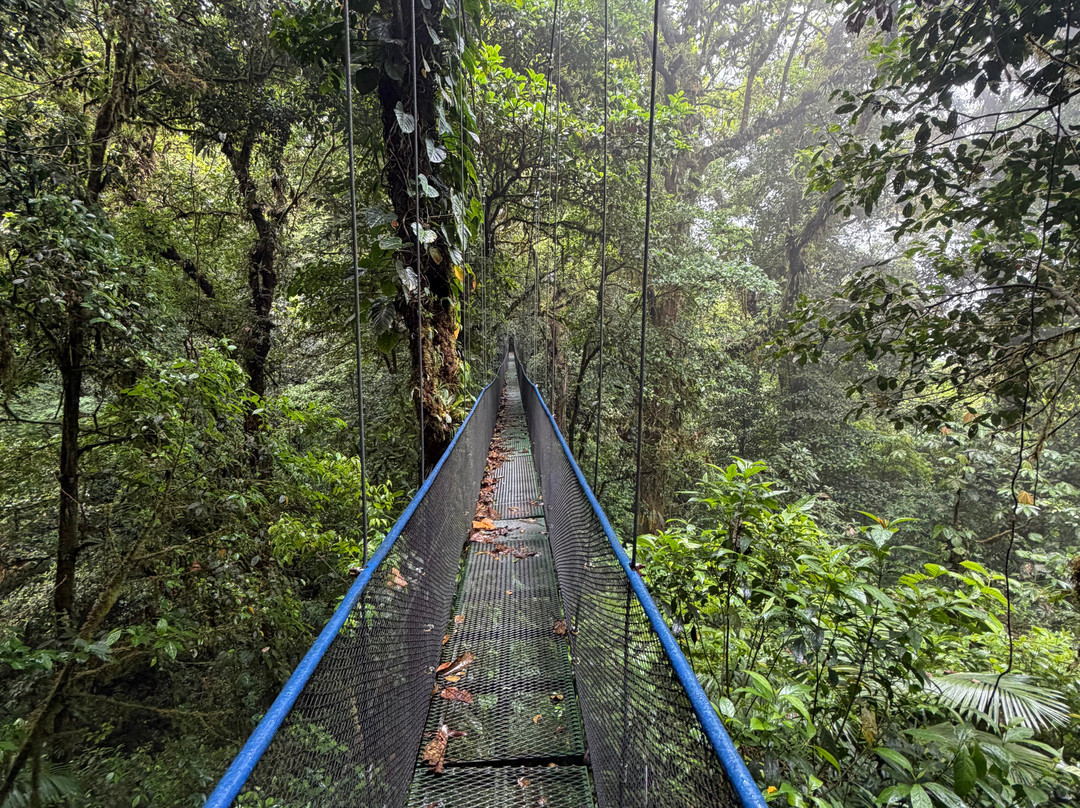 Shaman Tours-Playas del Coco必去景点