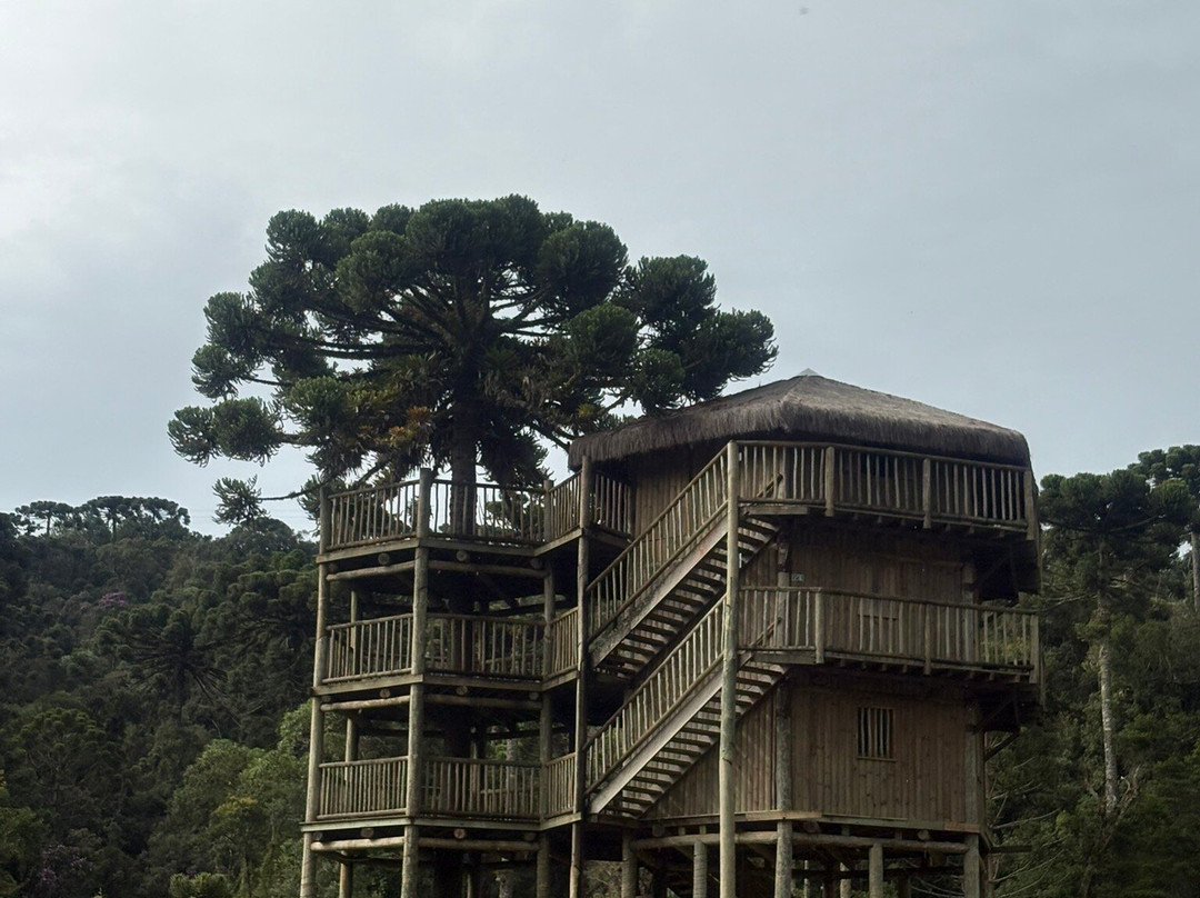Parque Tarundu-坎普斯－杜若尔当必去景点