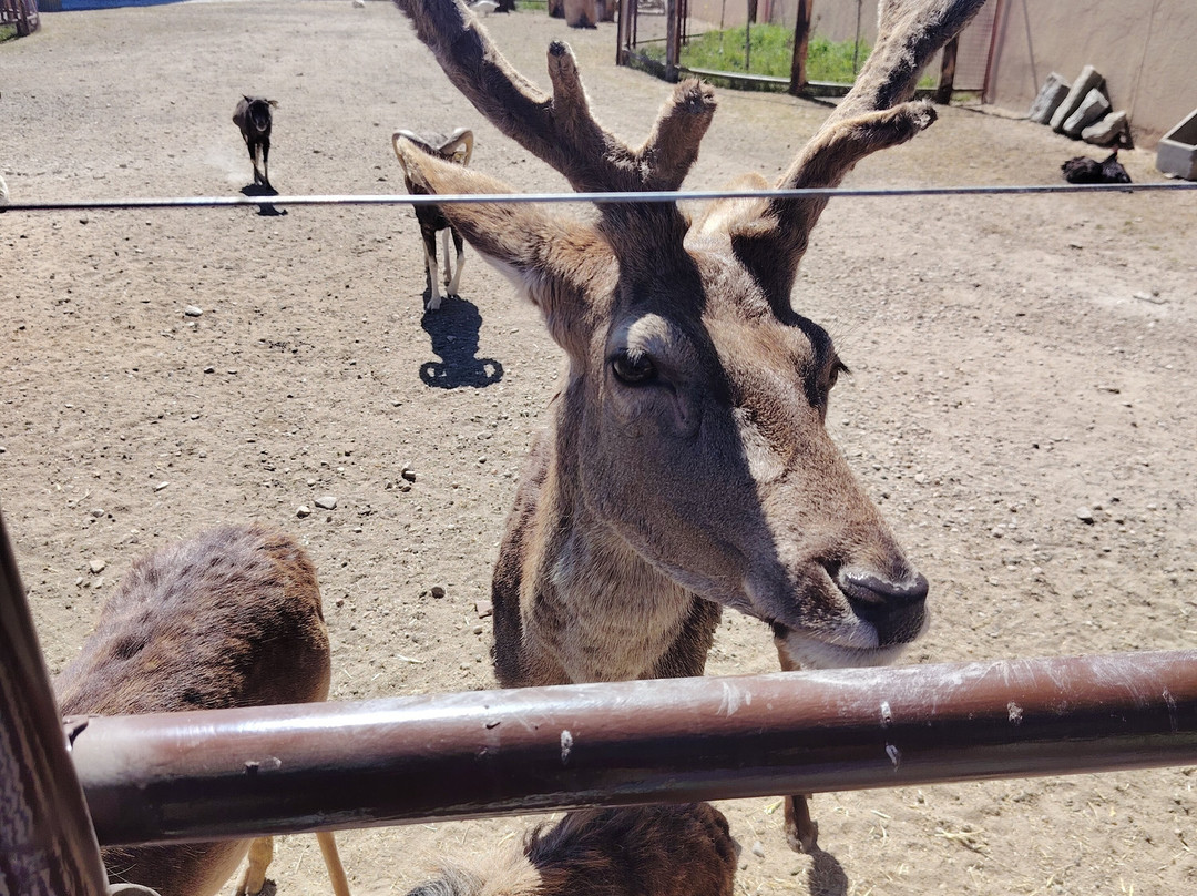Parque Zoologico La Era las Aves-瓦拉多利德省必去景点