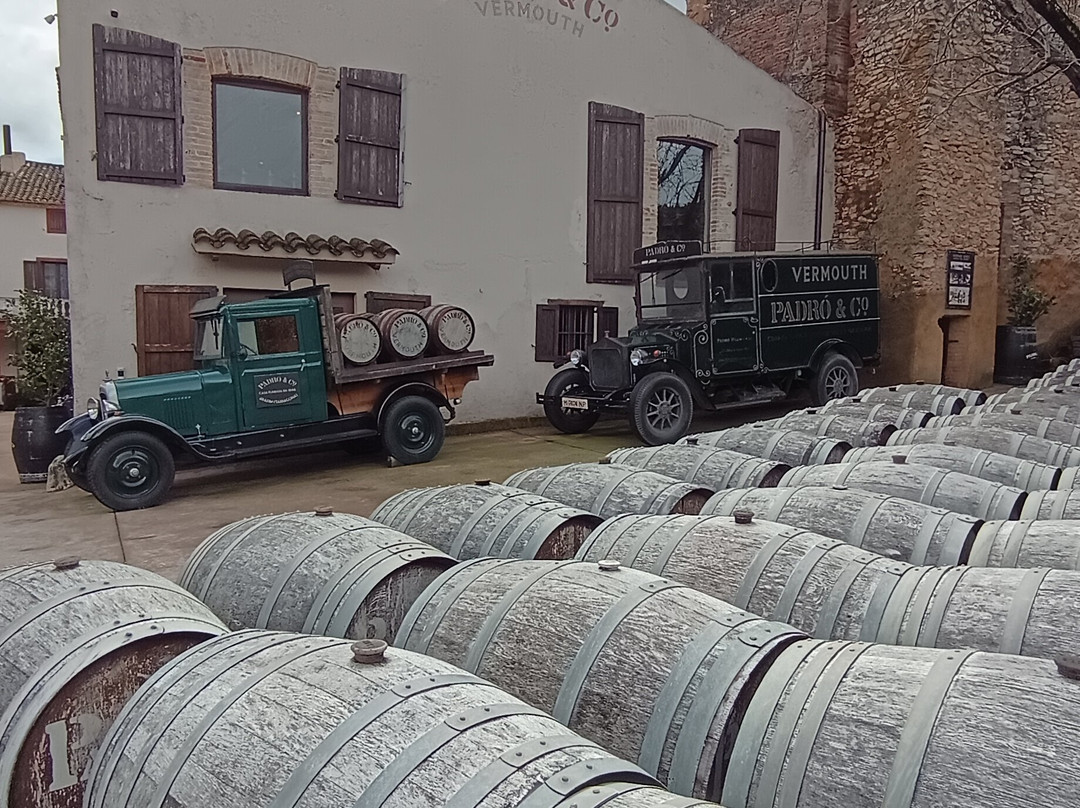 Casa Vermouth Padró-Brafim必去景点