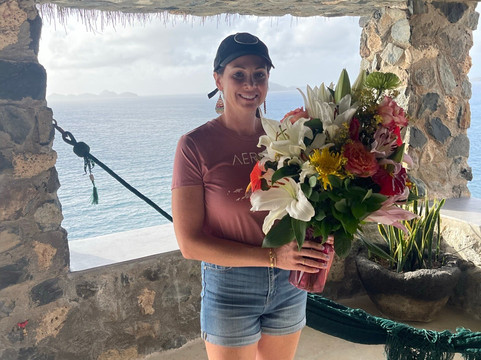 The Aerial, BVI主图