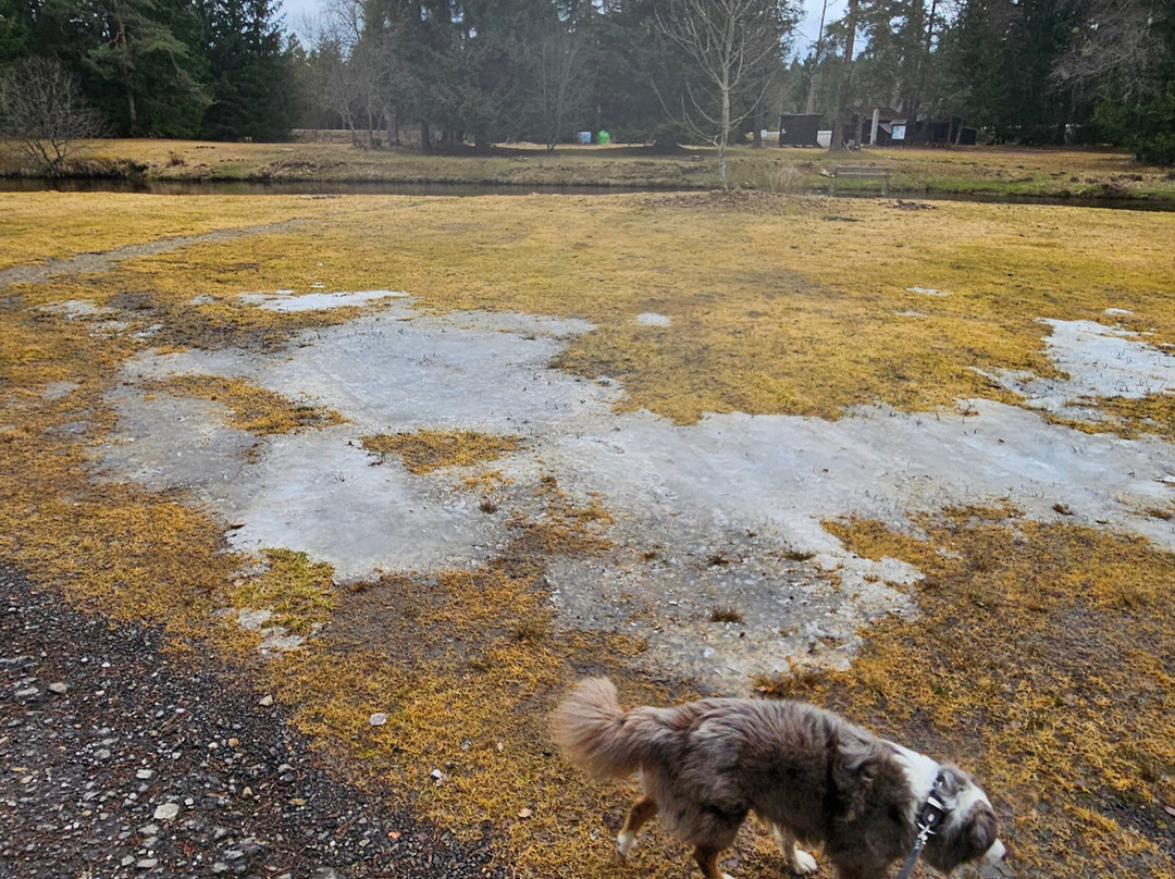 斯内兹纳旅馆主图