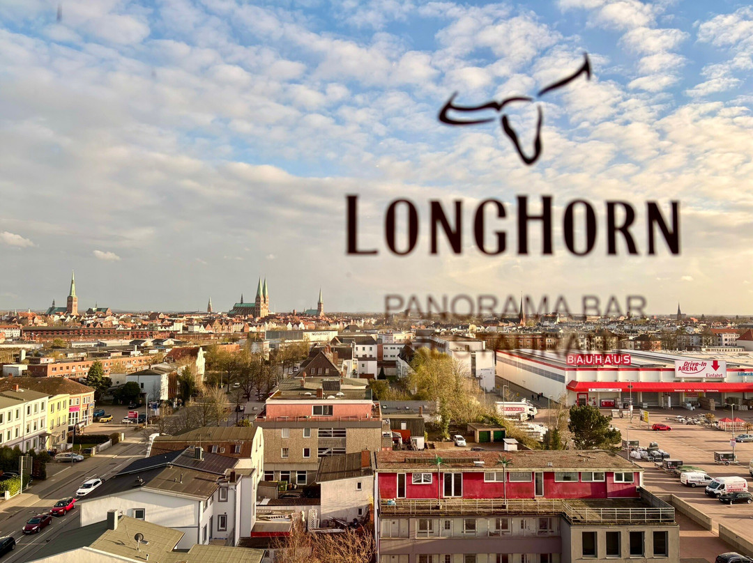 Longhorn主图