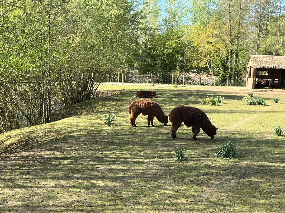 Lumigny Safari Reserve