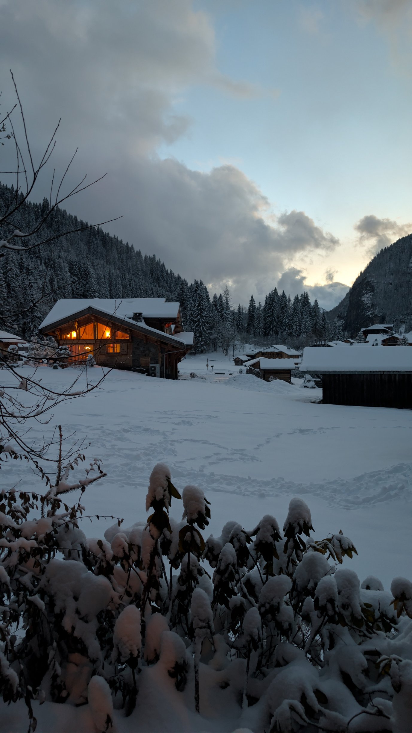 Chilly Powder-官方