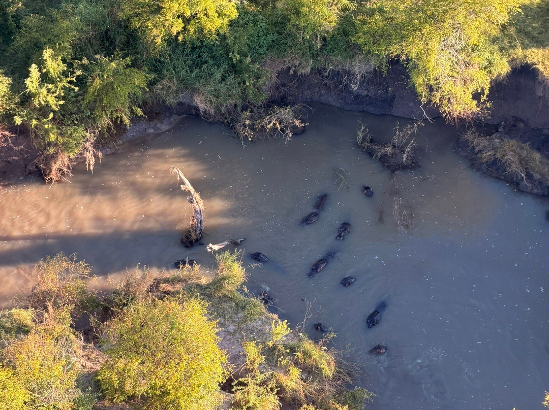 Hot Air Safaris-马赛马拉国家野生动物保护区必去景点