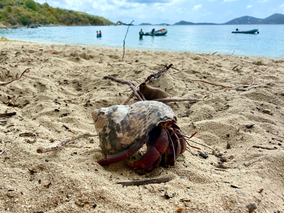 Hansen Bay Beach-East End必去景点