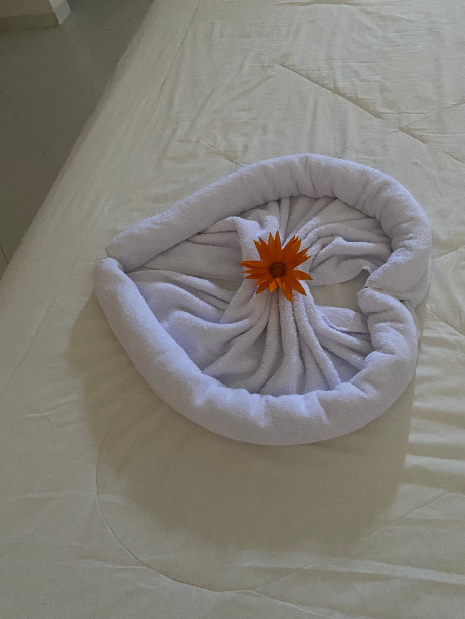 一号度假村水上公园&温泉-官方