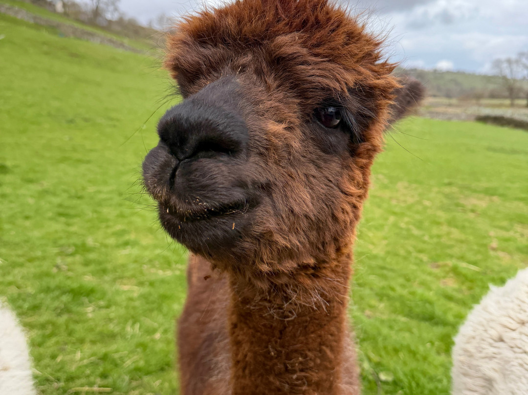Hazel Brow Farm Visitor Centre-Low Row必去景点