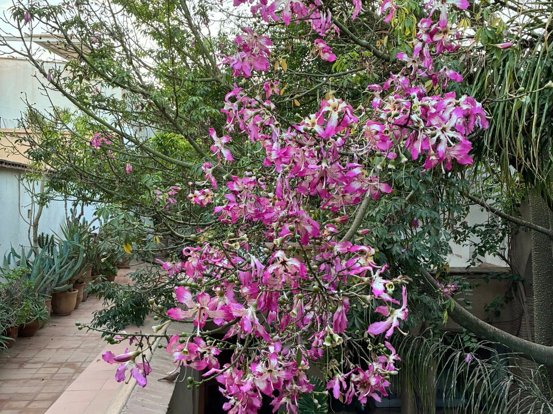 Mhamid Excursion Berber-迈哈米德必去景点