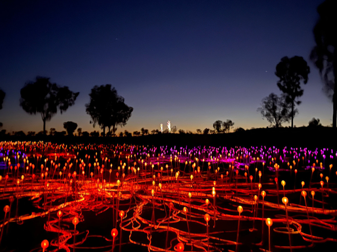 Field of Light-乌鲁鲁-卡塔丘塔国家公园必去景点