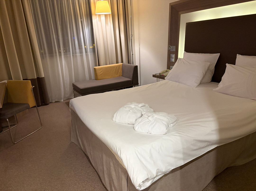 Novotel Ekaterinburg Tsentr Hotel主图