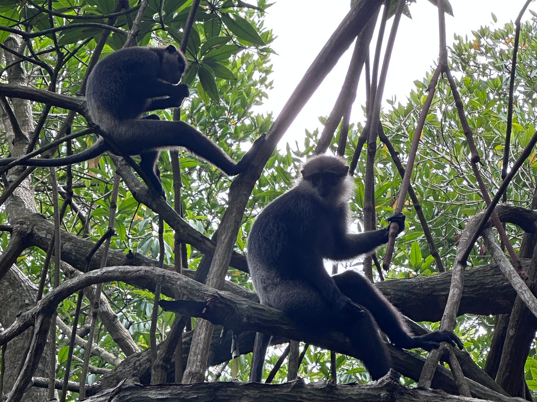 Riu Manga Tours-亚洪加拉必去景点