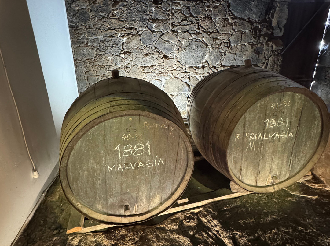 El Grifo - Museo del Vino-San Bartolome必去景点