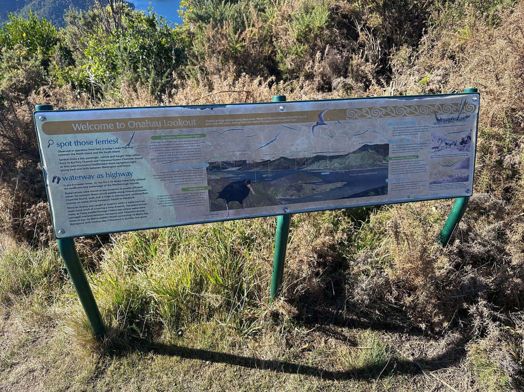 Onahau Point Lookout-Te Mahia必去景点