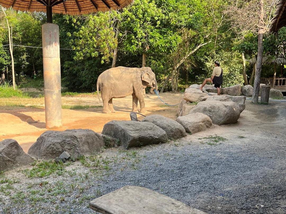 Phangan Elephant Sanctuary