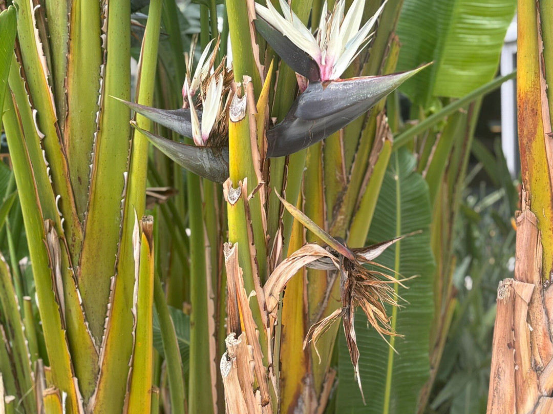 TUI BLUE 大蓝海主图