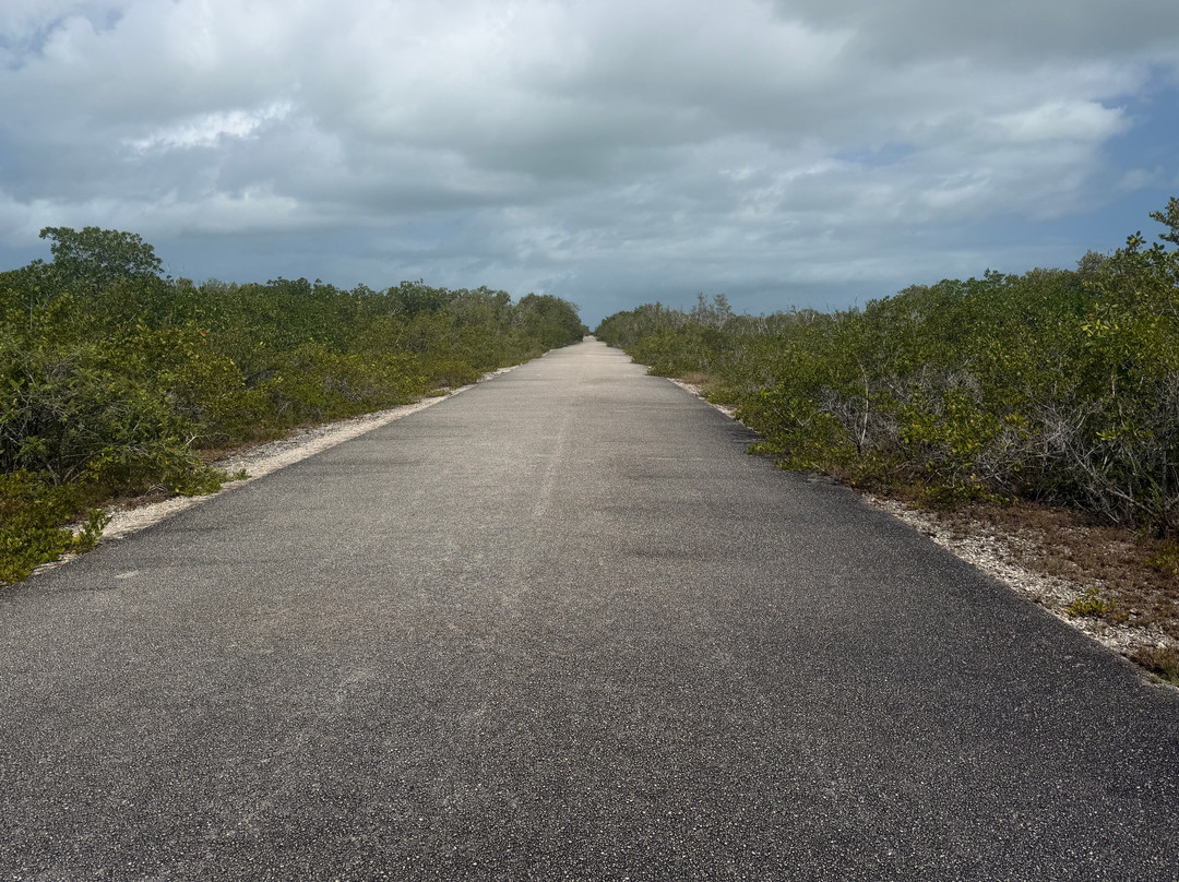 National Key Deer Refuge-Big Pine Key必去景点