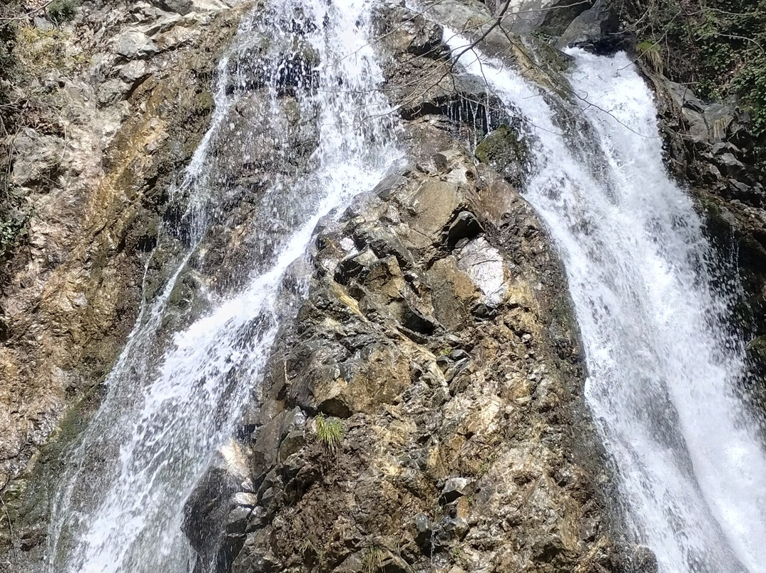 Cyprus Sunshine Safari Tours-Tala必去景点
