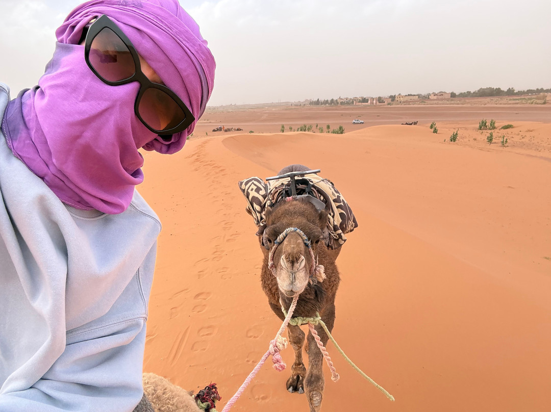 Wild Desert of Morocco-卡萨布兰卡必去景点