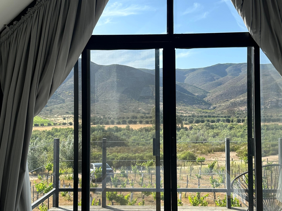 欧诺葡萄酒旅馆主图