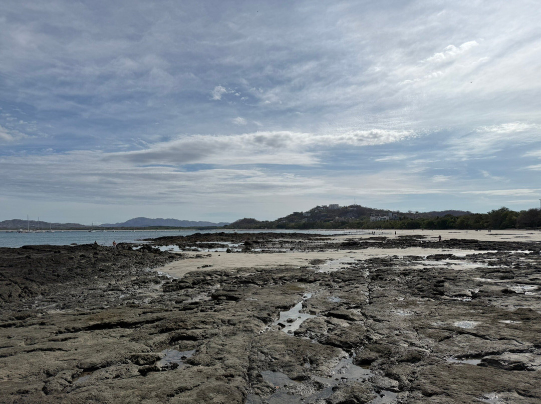 Matt's Fishing & Tours-萨迪纳尔必去景点