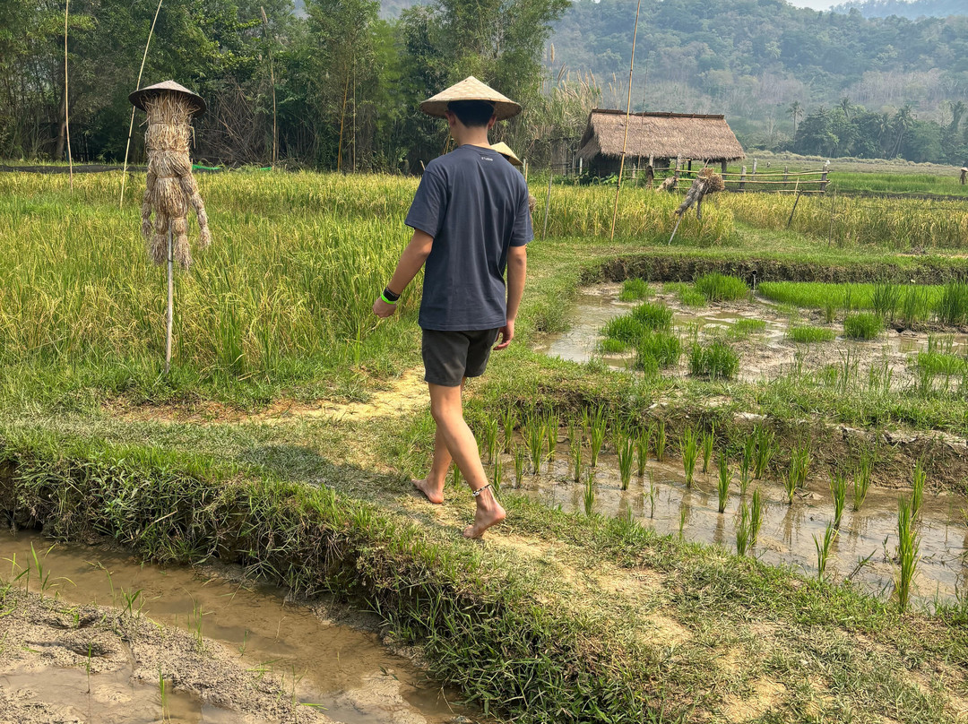 Living Land农场体验之旅-琅勃拉邦必去景点