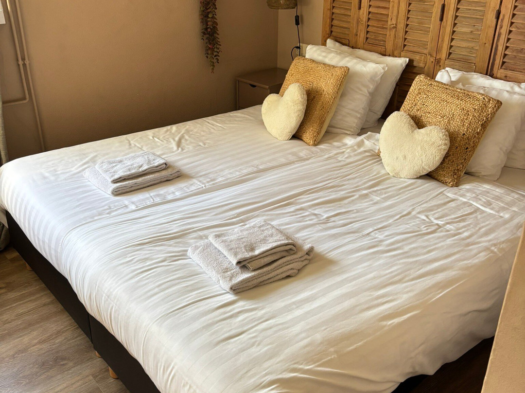 Maison Bellefleur B&B - Pension主图