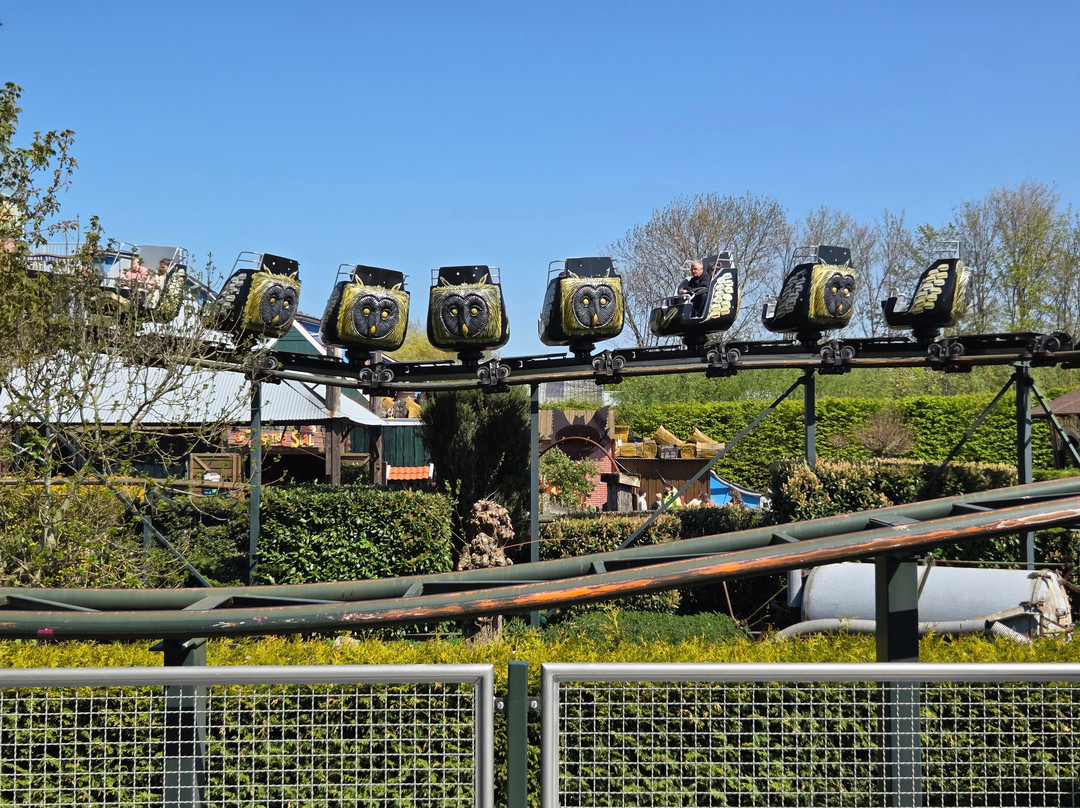 Drievliet Family Park-海牙必去景点