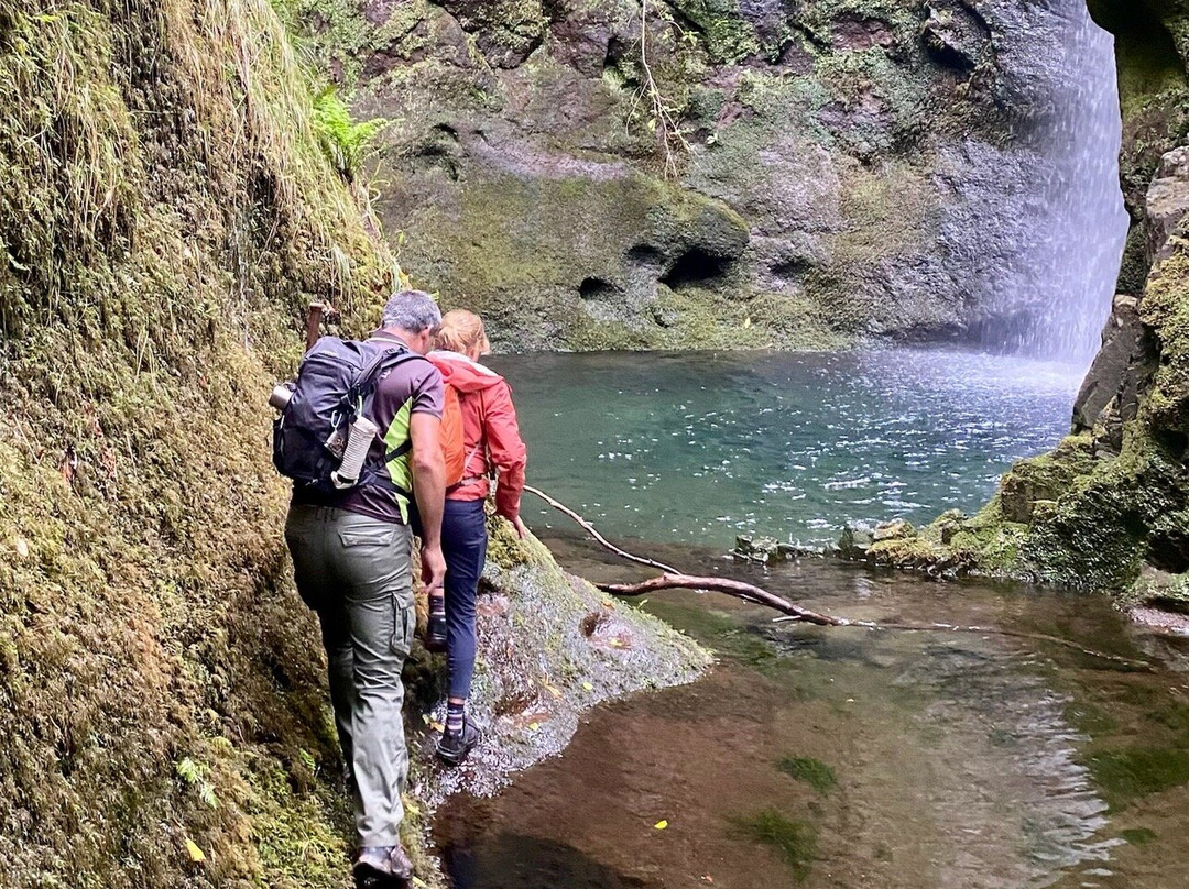Madeira Wonder Hikes-沙尔必去景点