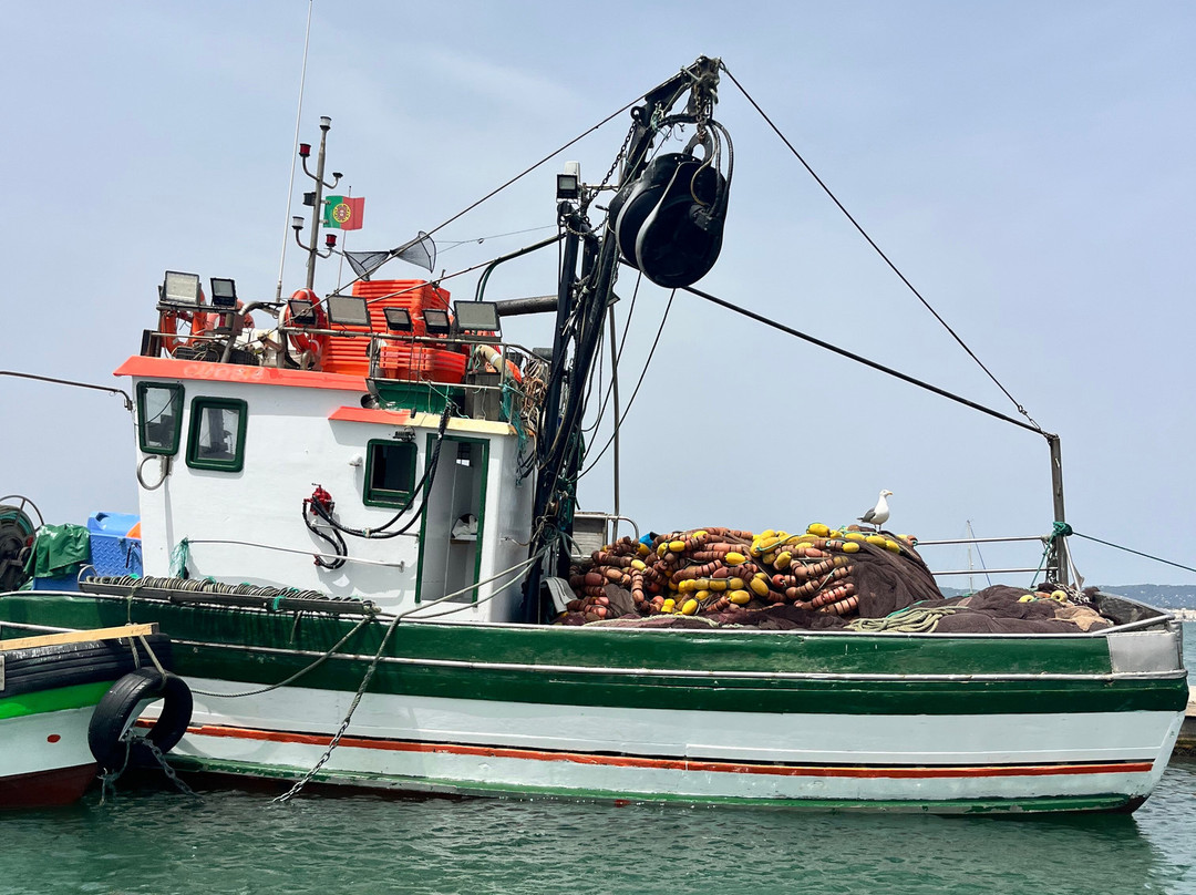 Rota das Ilhas - Boat Tours-奥良必去景点