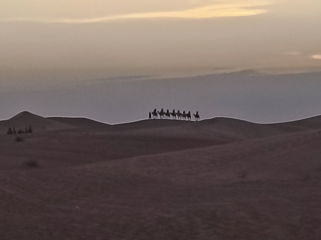 Authentic Travel Maroc - Private Day Tours-卡萨布兰卡必去景点