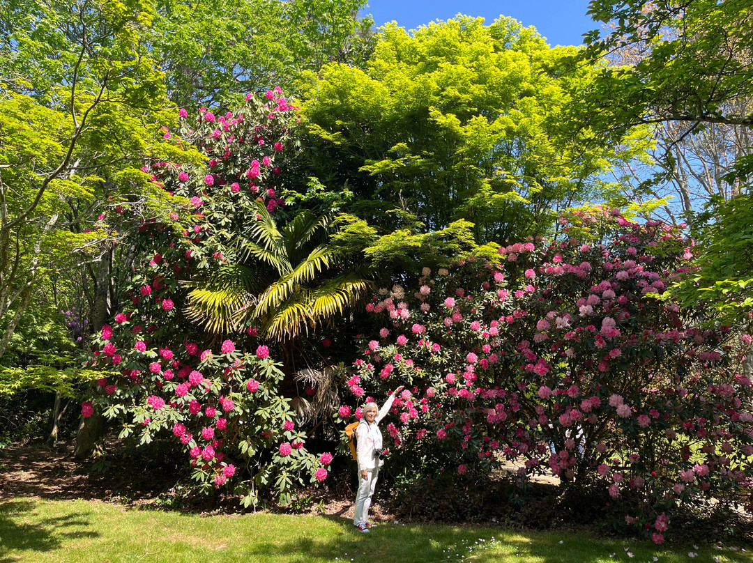 Parc Botanique de Cornouaille-孔布里必去景点